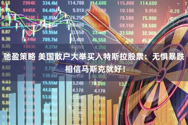 驰盈策略 美国散户大举买入特斯拉股票：无惧暴跌 相信马斯克就好！