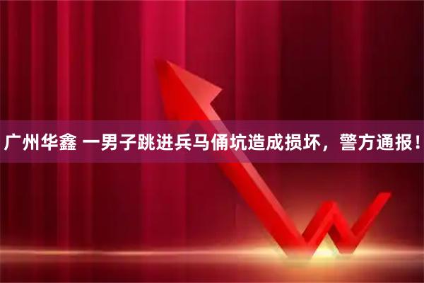 广州华鑫 一男子跳进兵马俑坑造成损坏，警方通报！