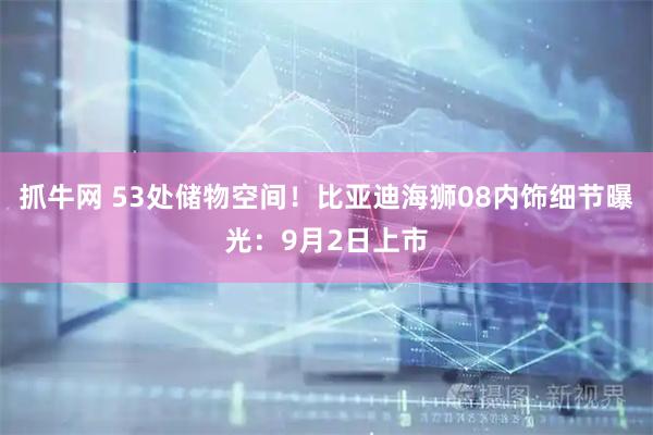 抓牛网 53处储物空间！比亚迪海狮08内饰细节曝光：9月2日上市